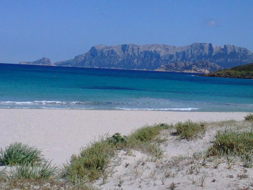 Casa Vacanza Pittulongu Appartamento Olbia
